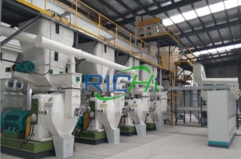 20 T/H wood pellet production line in Bangladesh