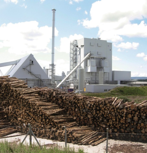 5-6T/H Wood pellet production line