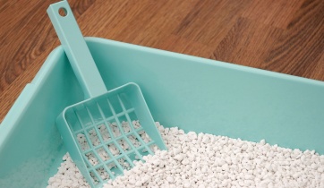 A blue litter box filled with cat litter