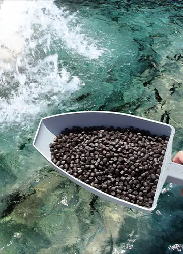 High-quality fish feed produced by our production line