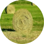 Grass-based raw materials.