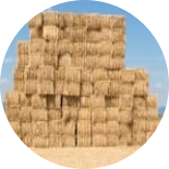 hay of straw material