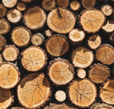 Logs
