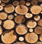 Logs