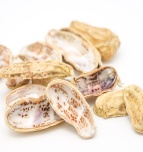 Peanut shells