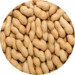 It's a bunch of plump peanuts.