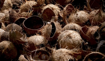 Coconut husk shell as pellet material