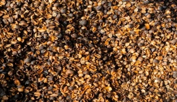 A large pile of coffee grounds has accumulated.