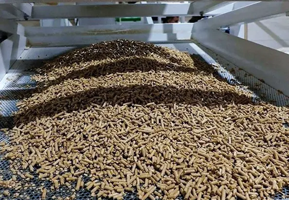 pellets produced on the husk pellet production line
