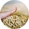 Cooled wood pellets in a hand