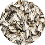 Dry sunflower seed shells piled together.