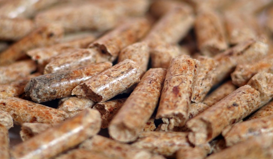 The particles are elongated, uniform in texture and of a husk type.