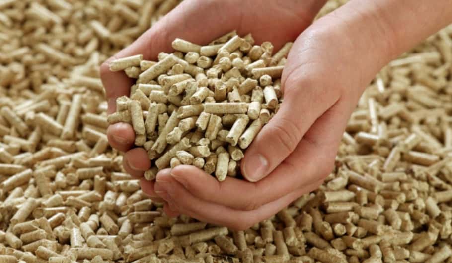 Wheat straw pellets display in hands