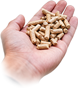 Display of finished wood pellets in hand.
