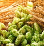 Hops 