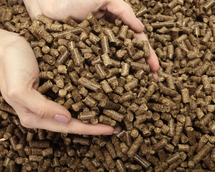 husk pellets in hand
