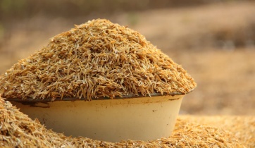 Rice husk is the material used to make husk-pellet fuel.
