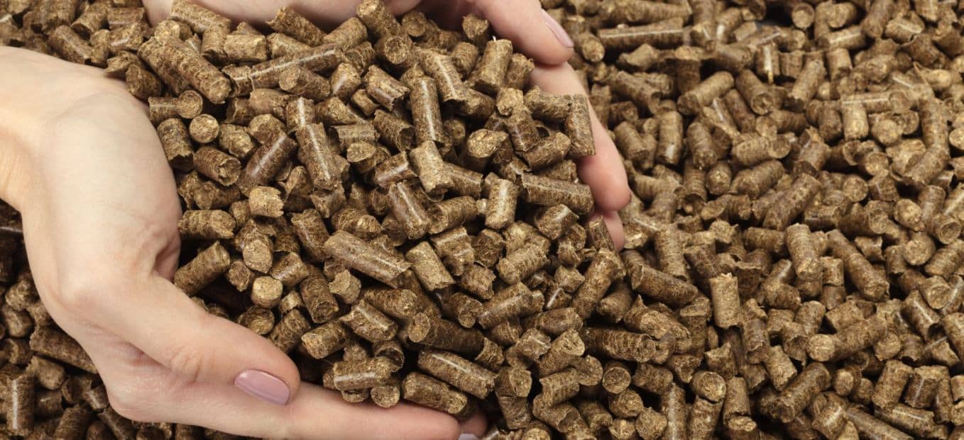 husk pellets in hands