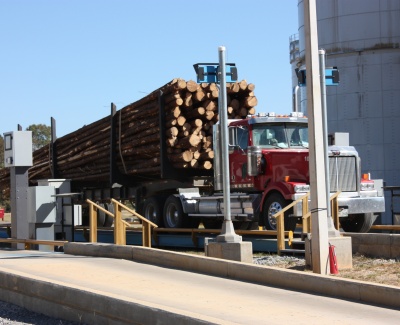 2-3 T/H Wood Pellet Production Line in Canada 