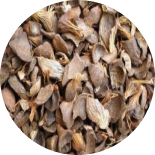 There are many types of palm shells.