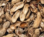 Peanuts shells