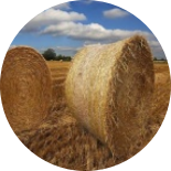 rice straw raw material