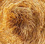 Straw picture display