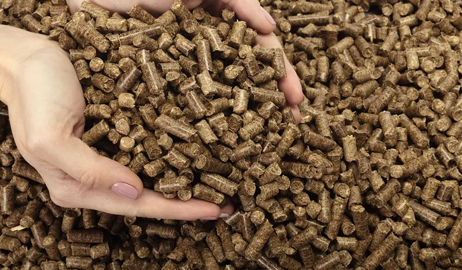 The wood pellets are all of the same size and have a glossy finish.