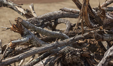 Wood pellet material dry branches
