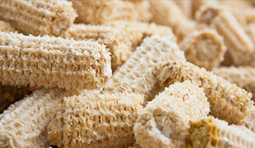Corn cobs stripped of kernels