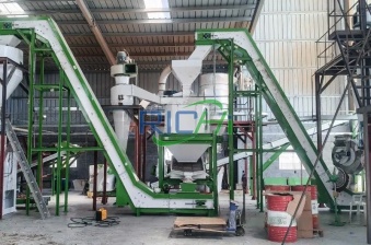 Wood pellet production line in Singapore with a capacity of 2 T/H.