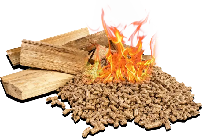 Wood pellets produced by RICHI equipment