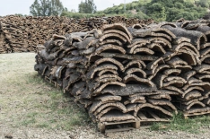 The cut bark is piled together.
