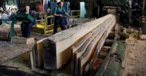 Wood Processing Plant