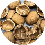 Broken walnut shells
