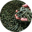 Cattail Hay Pellets in hands