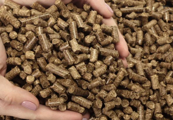 palm shell pellets show in hands