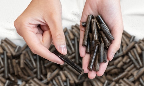 EFB pellets in hands