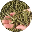 Alfalfa Pellets