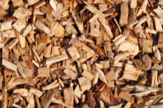 Wood Chips