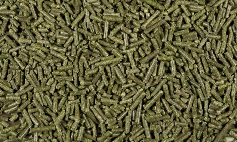 green hay pellets
