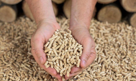 sawdust pellets in hands