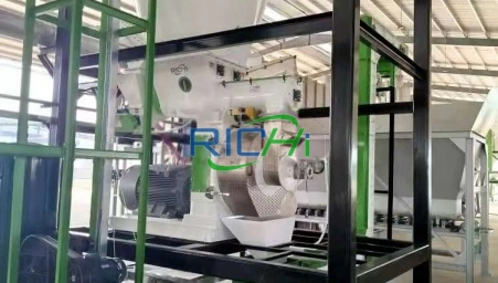 Biomass peanut shell pelletizer for sale in Vietnam