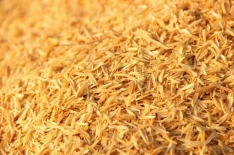 Rice Husks