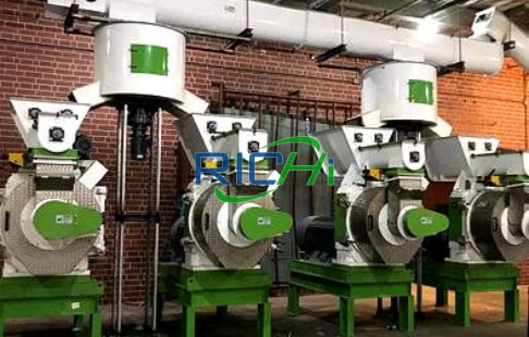 Sawdust Pellet Production Plant in USA