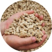 corn stalk pellets in hands