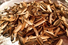 Sunflower Seed Husks