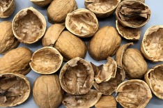 Walnut Shells