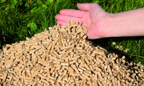 bagasse pellets product