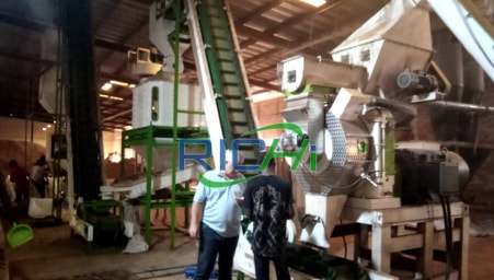 Bamboo Biomass Pellet machine For Sale in Indonesia